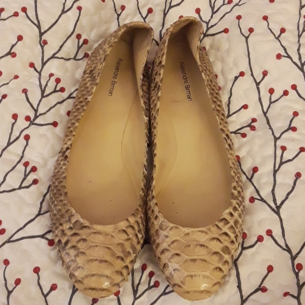 Python Ballet Shoes - image 1
